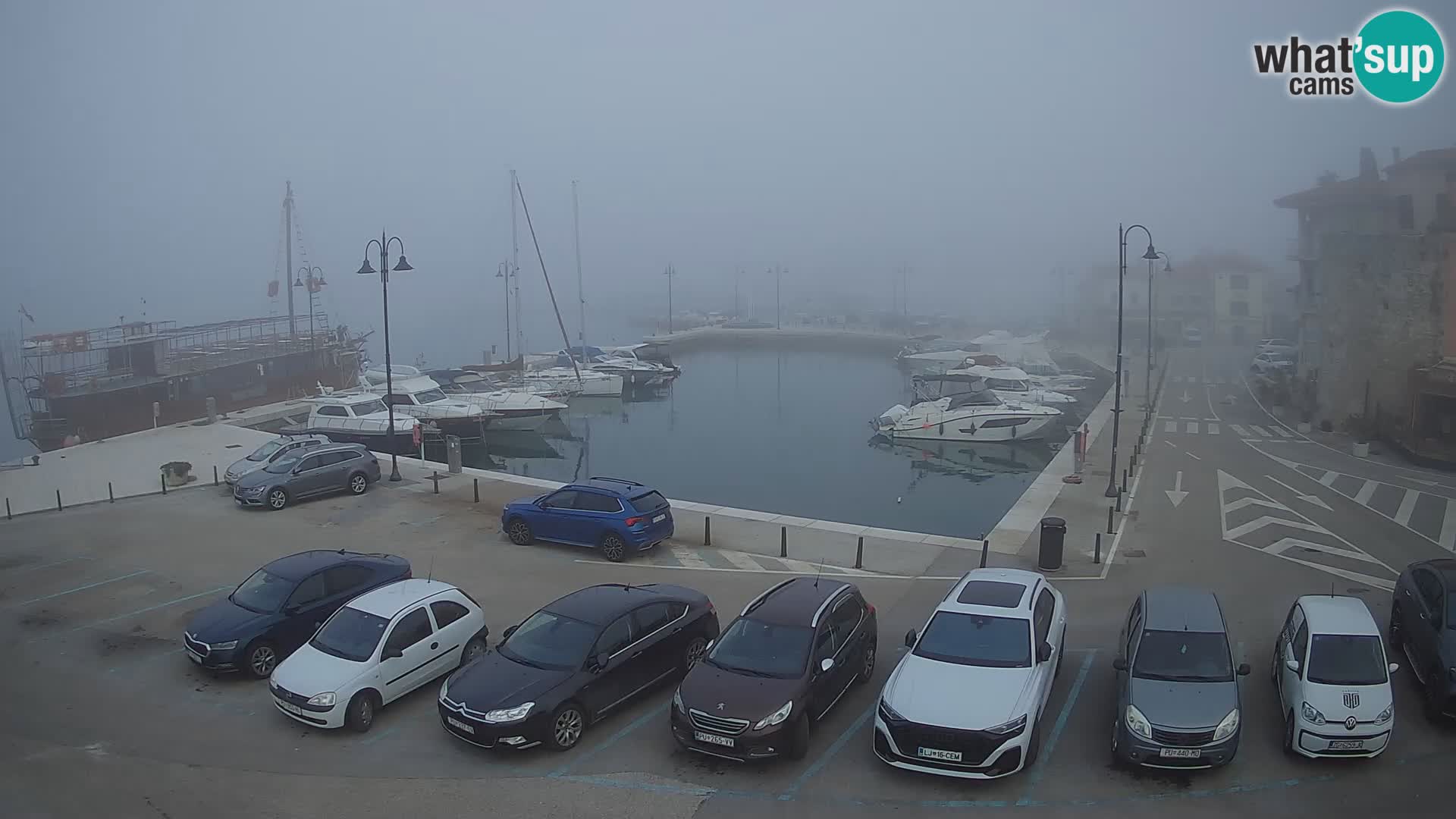 Novigrad | Porporela marina