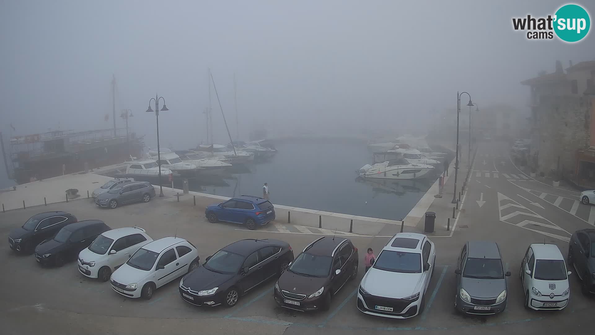 Novigrad | Porporela marina