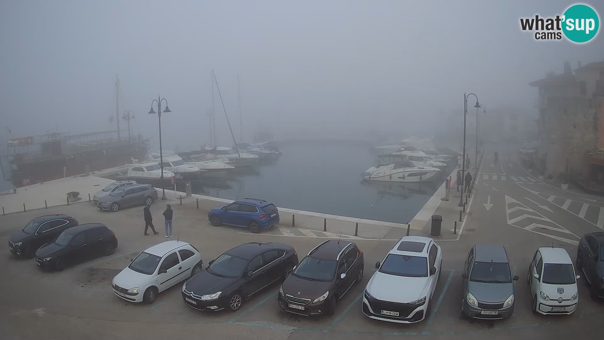 Novigrad | Porporela marina
