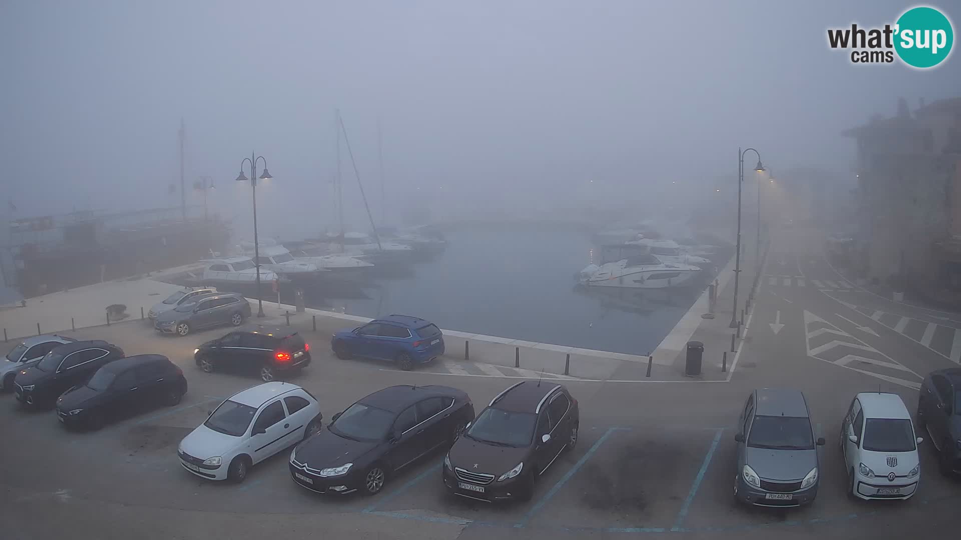 Novigrad | Porporela marina