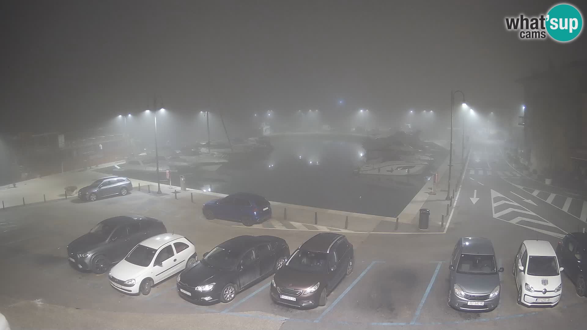 Novigrad | Porporela marina