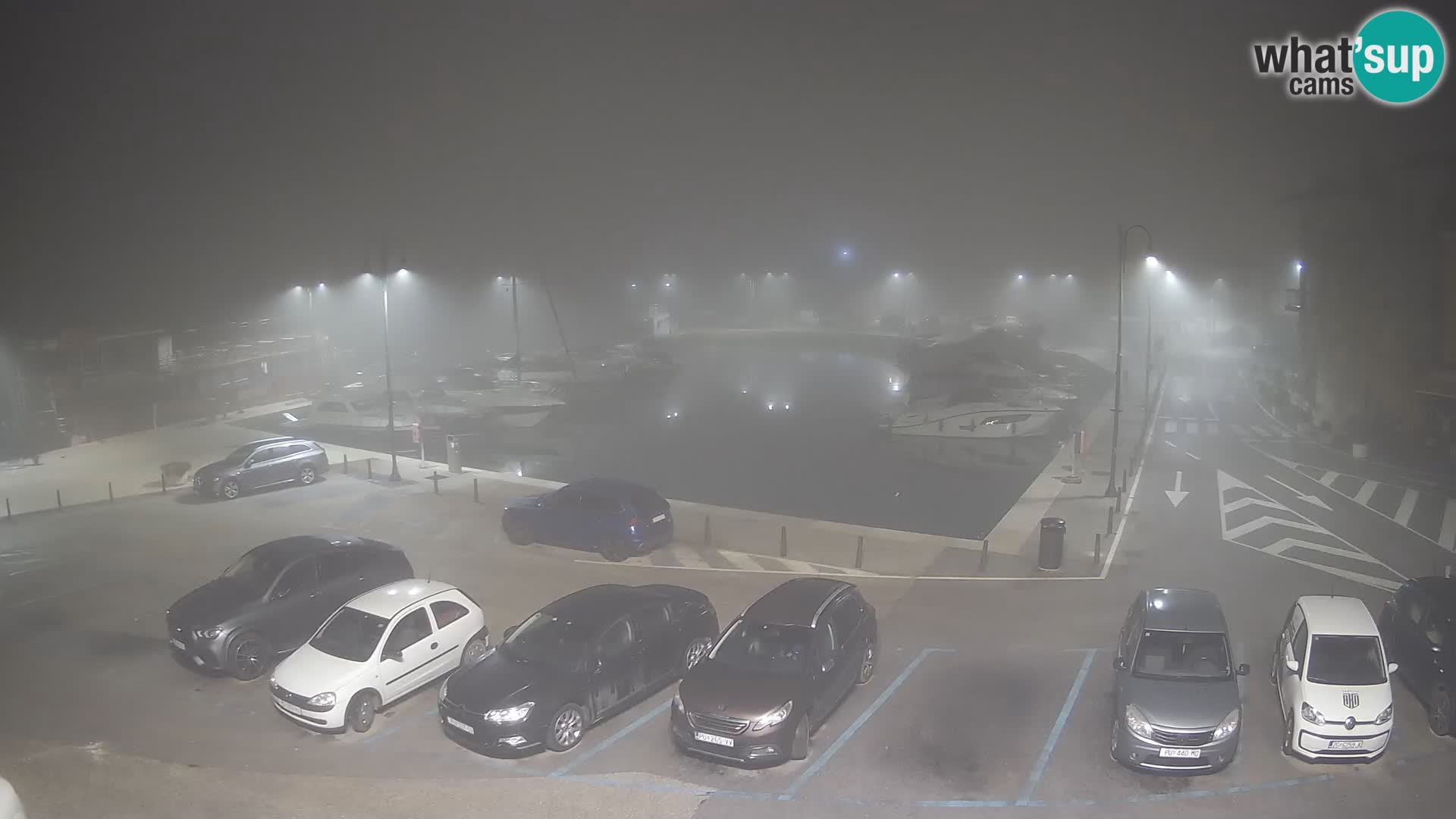 Novigrad | Porporela marina