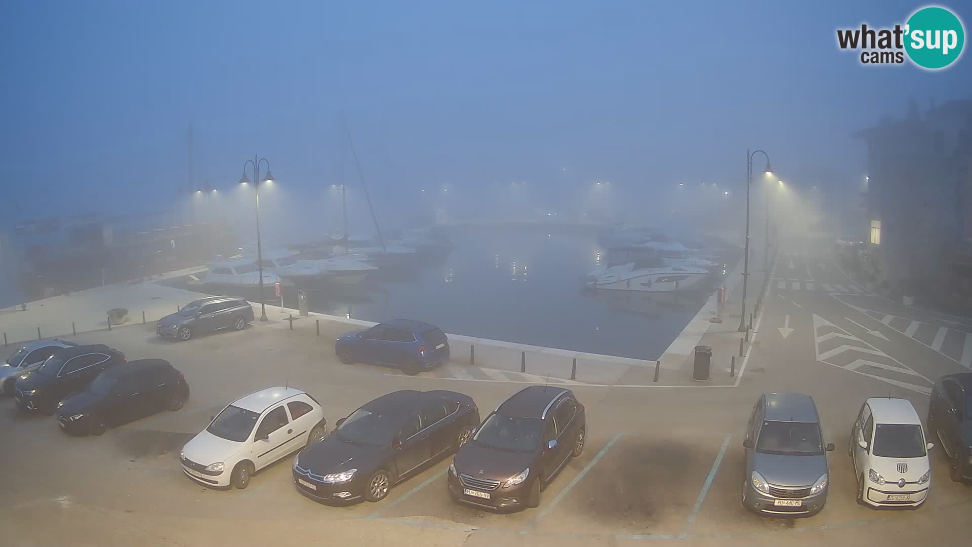 Novigrad | Porporela marina