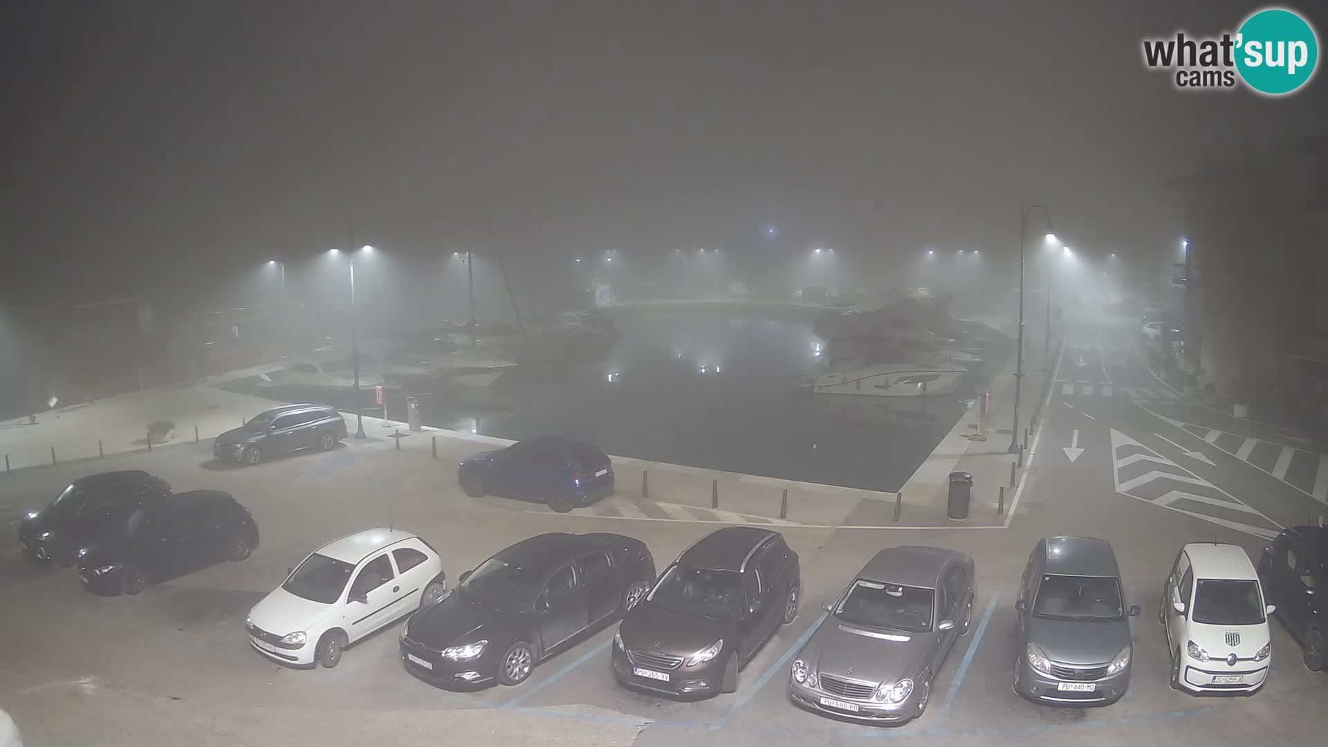 Novigrad | Porporela marina