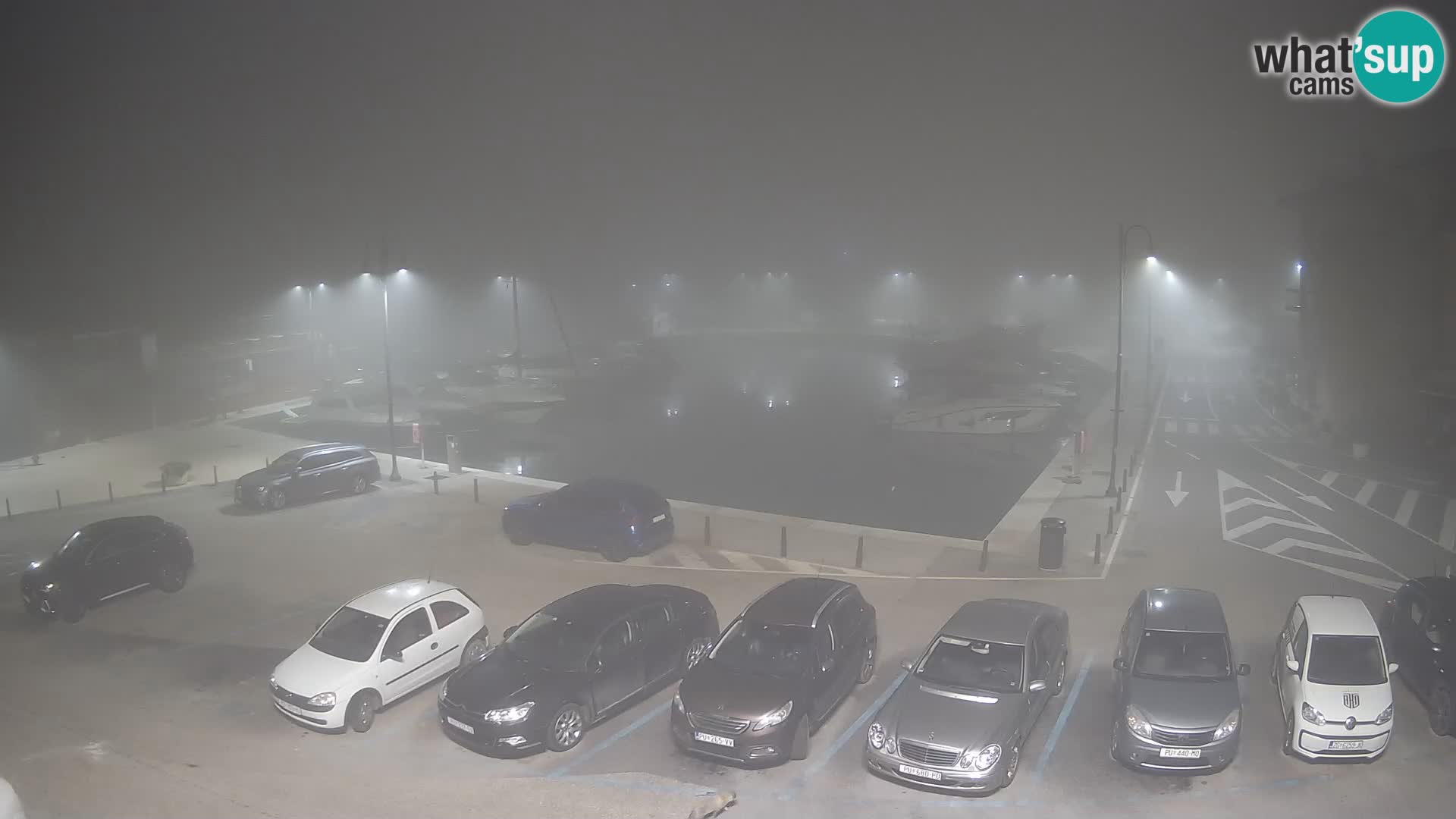 Novigrad | Porporela marina