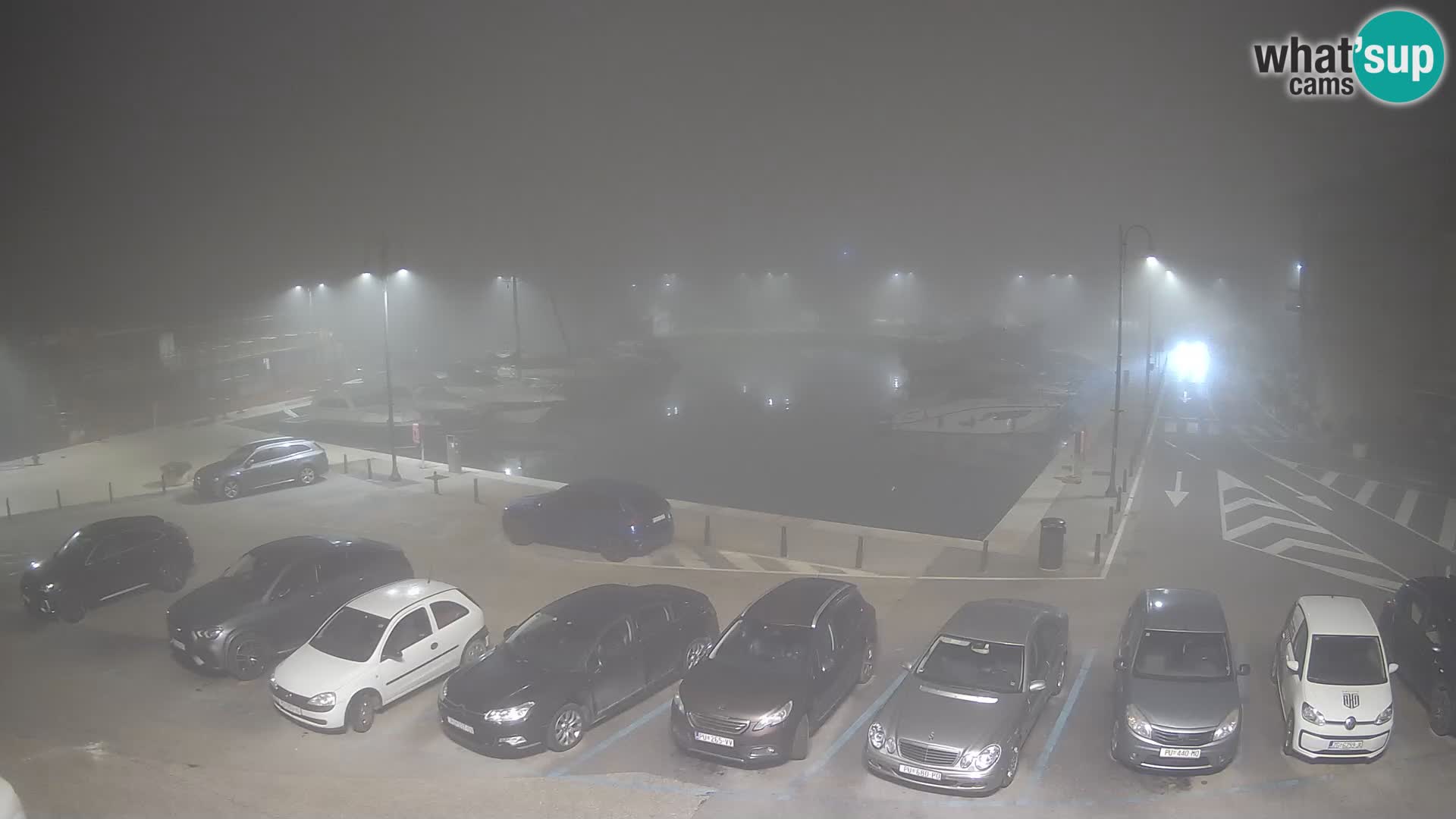 Novigrad | Porporela marina