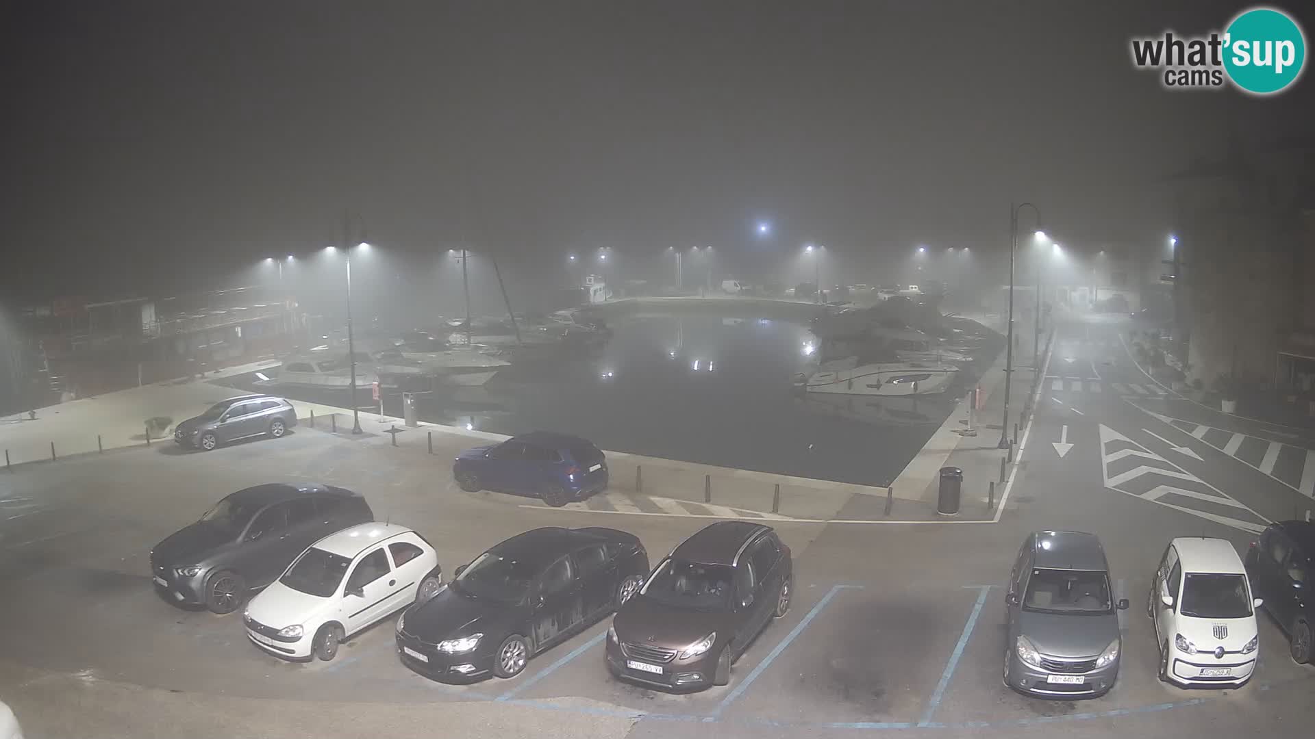 Novigrad | Porporela marina