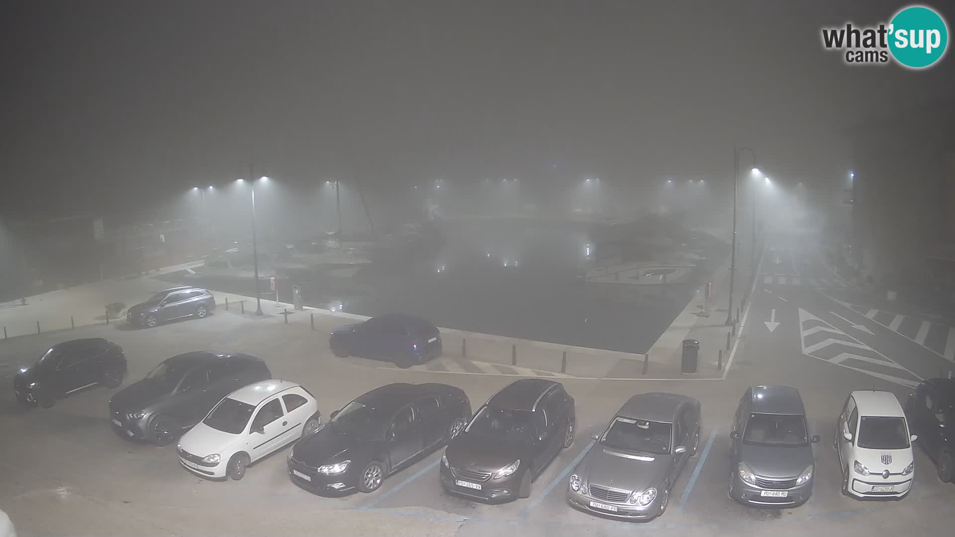 Novigrad | Porporela marina