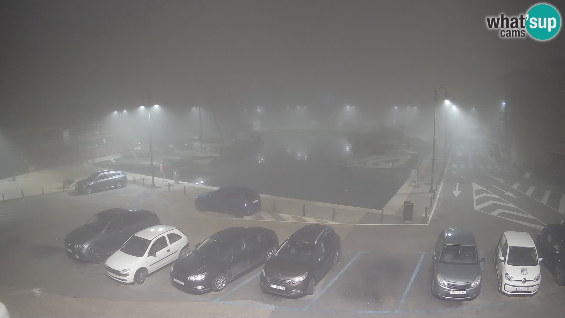 Novigrad | Porporela marina