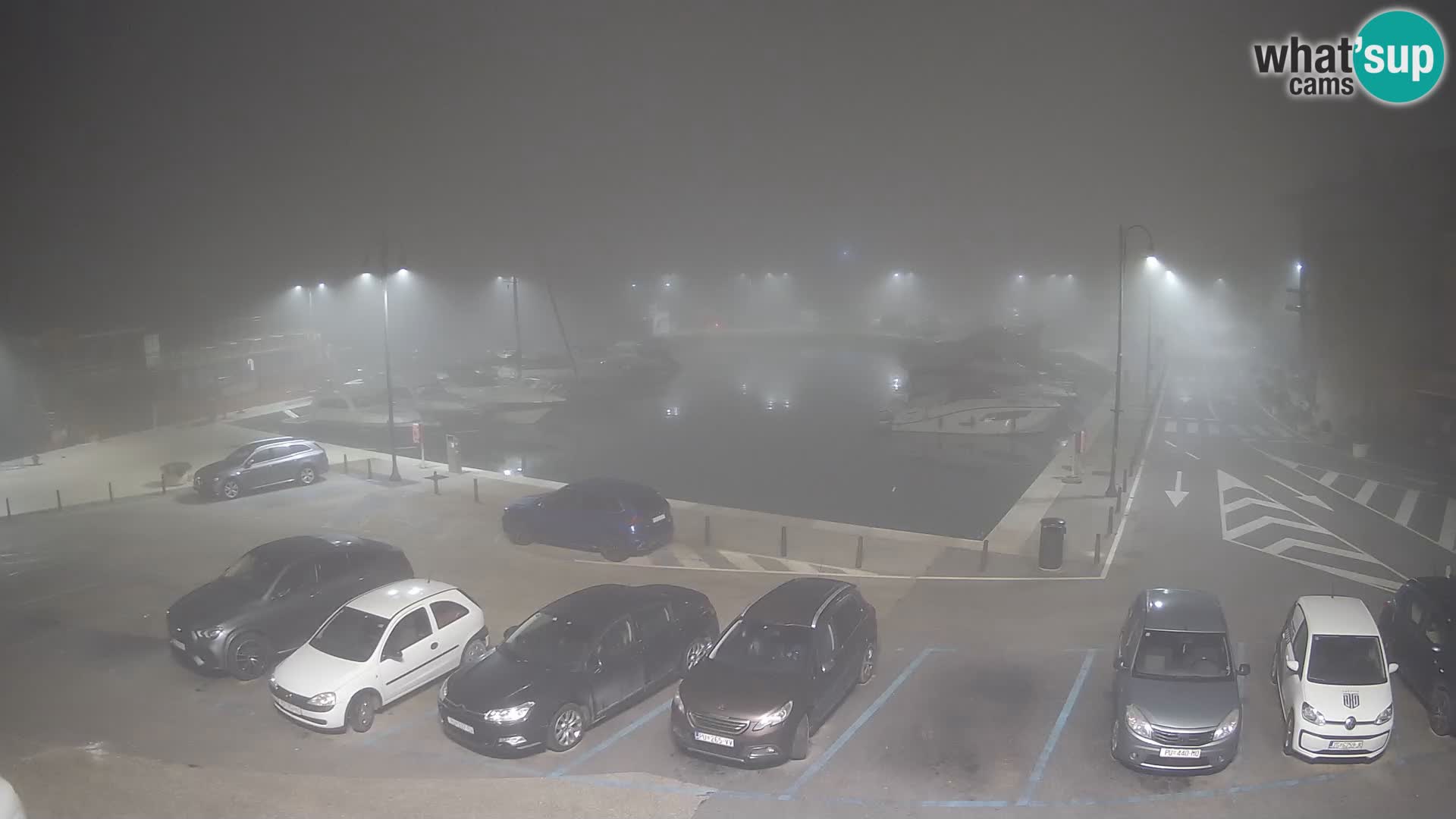 Novigrad | Porporela marina