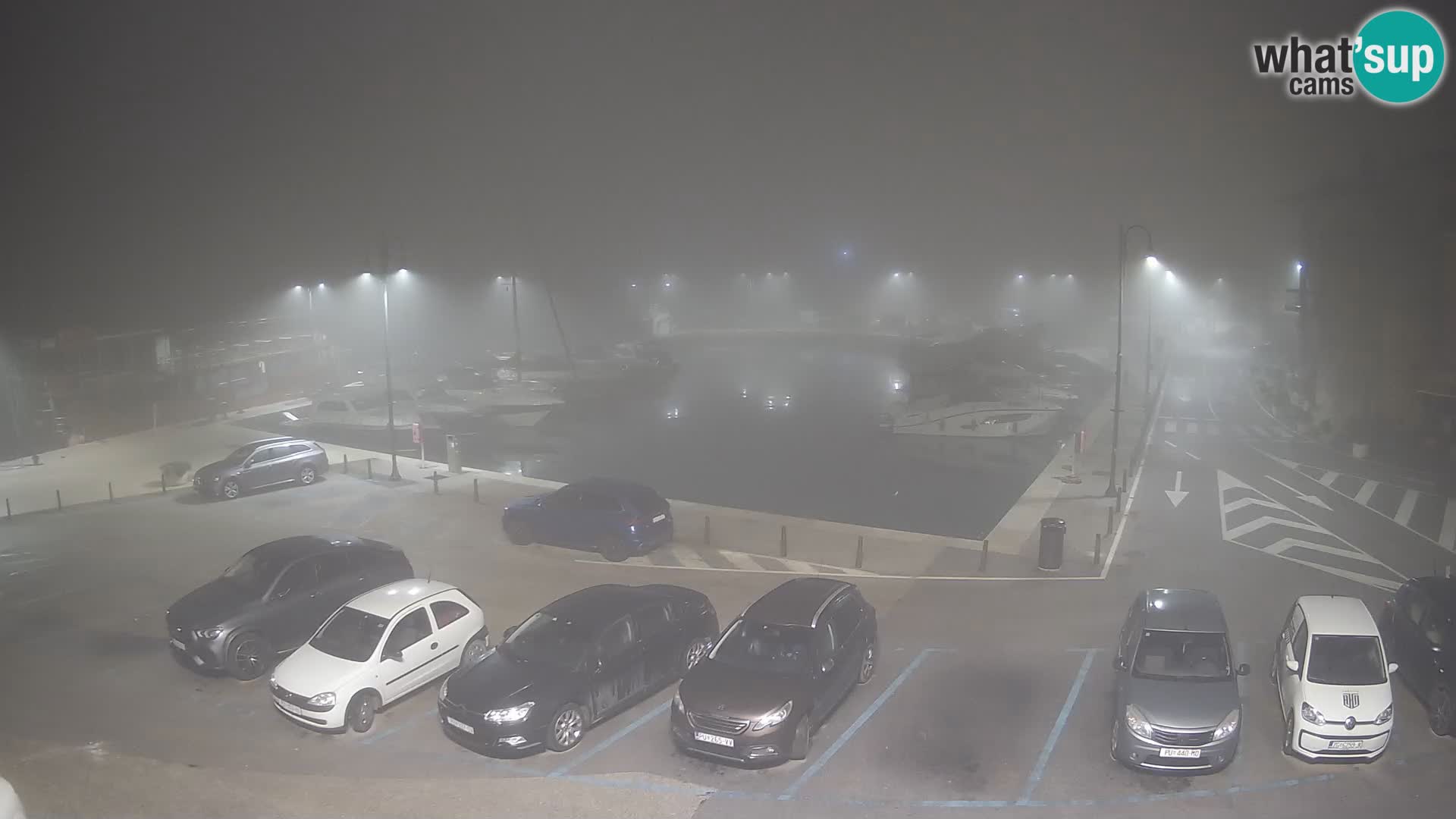 Novigrad | Porporela marina