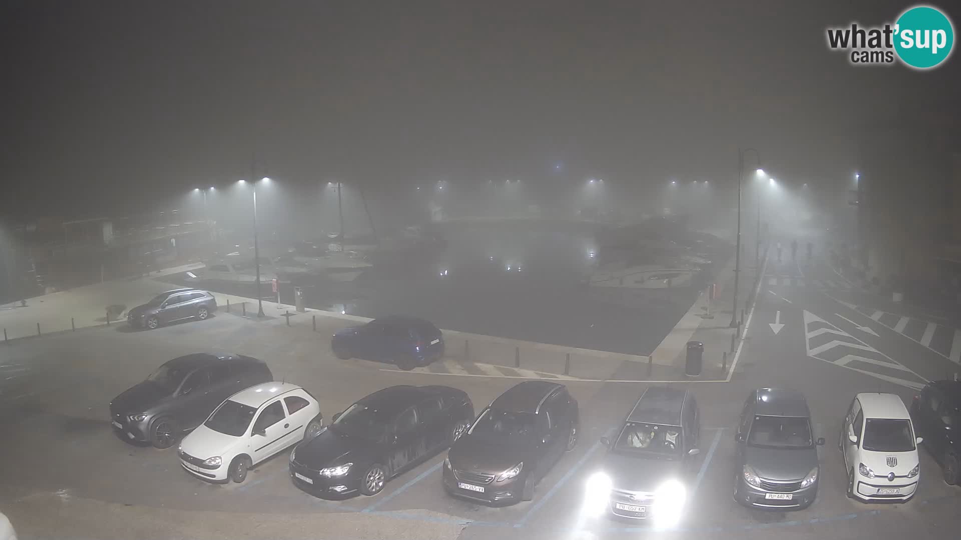 Novigrad | Porporela marina