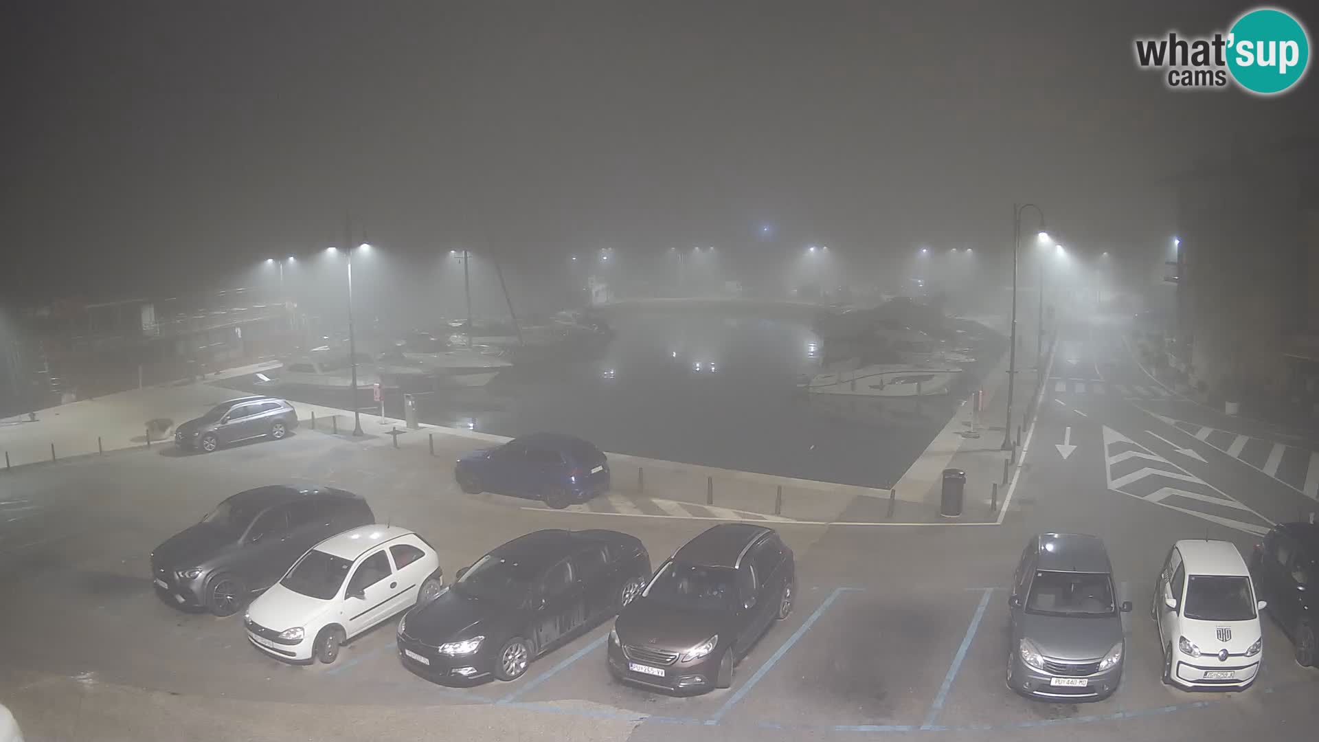 Novigrad | Porporela marina