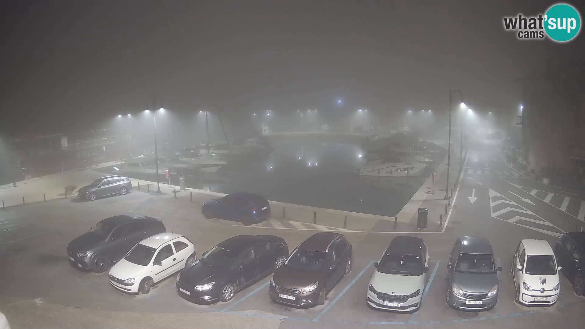 Novigrad | Porporela marina