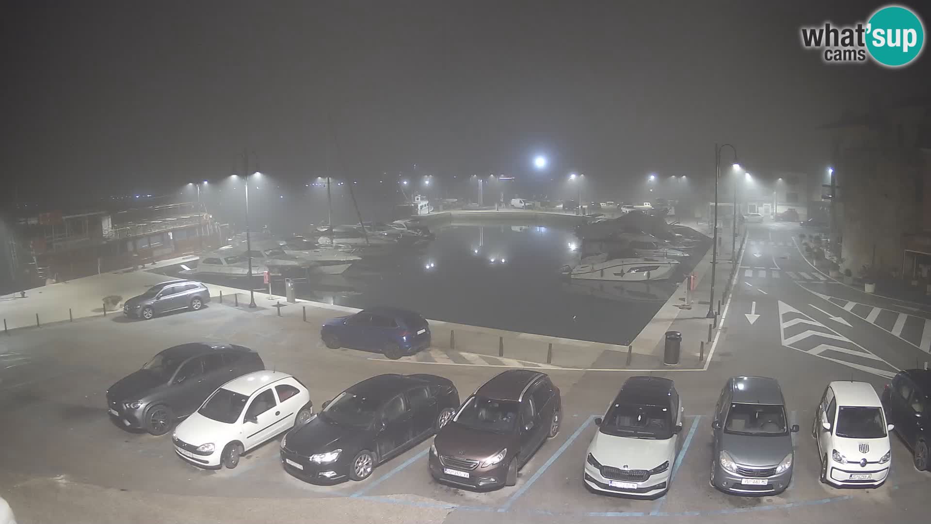 Novigrad | Porporela marina