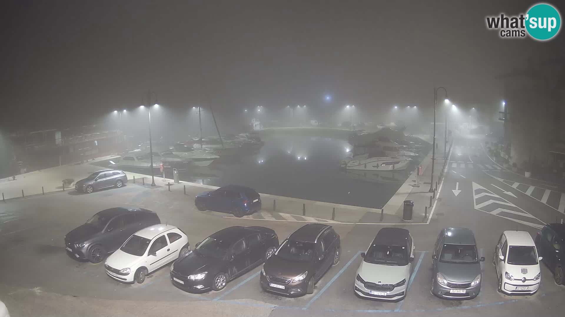 Novigrad | Porporela marina