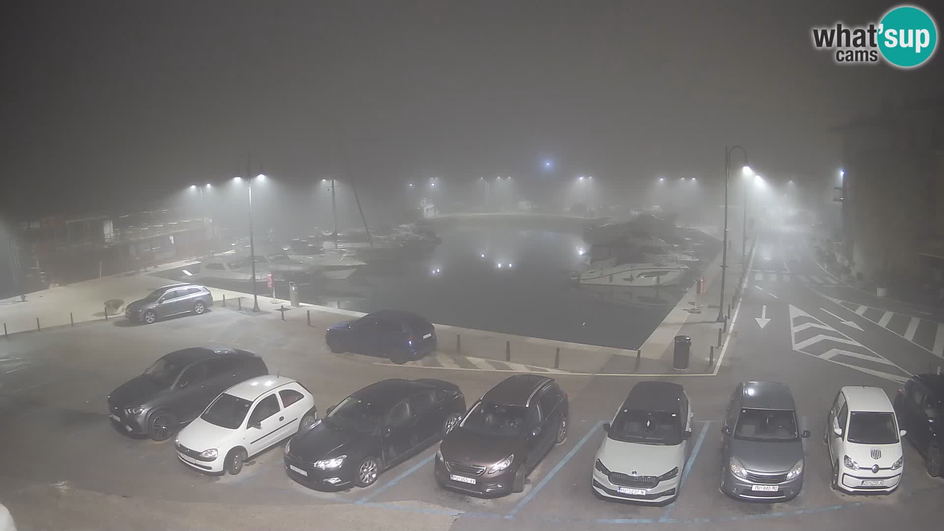 Novigrad | Porporela marina