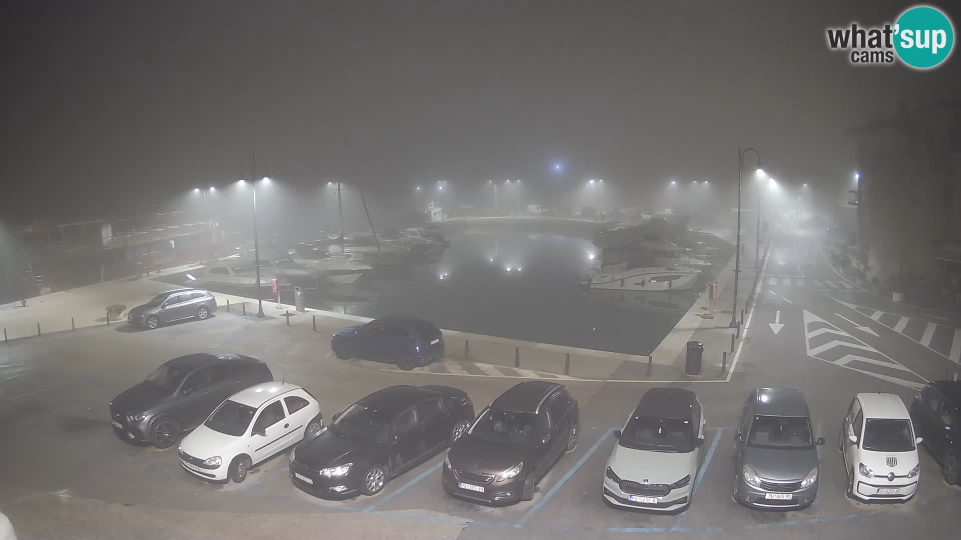 Novigrad | Porporela marina