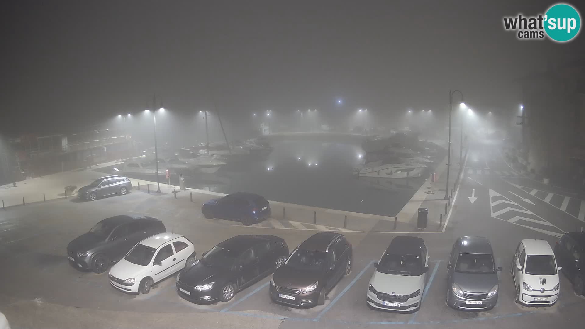 Novigrad | Porporela marina