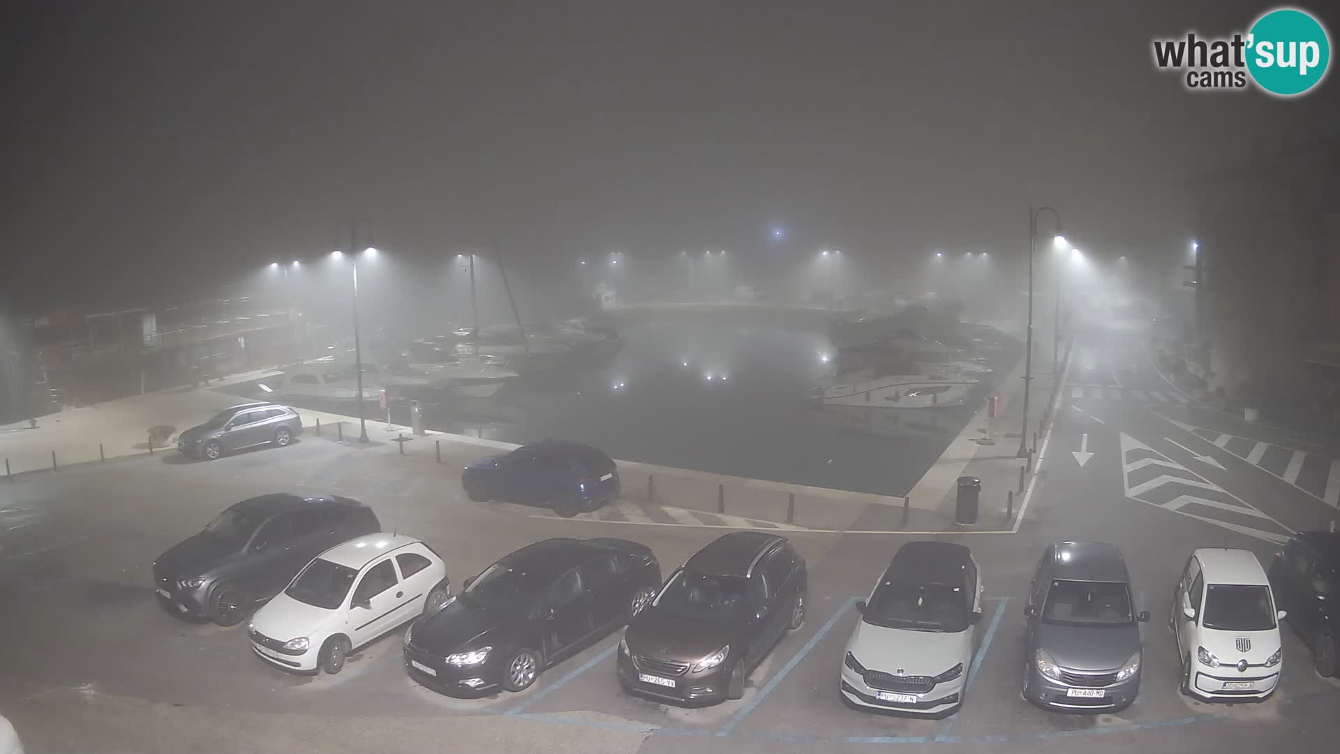 Novigrad | Porporela marina