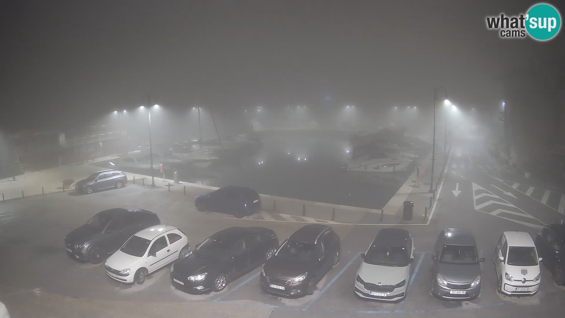 Novigrad | Porporela marina