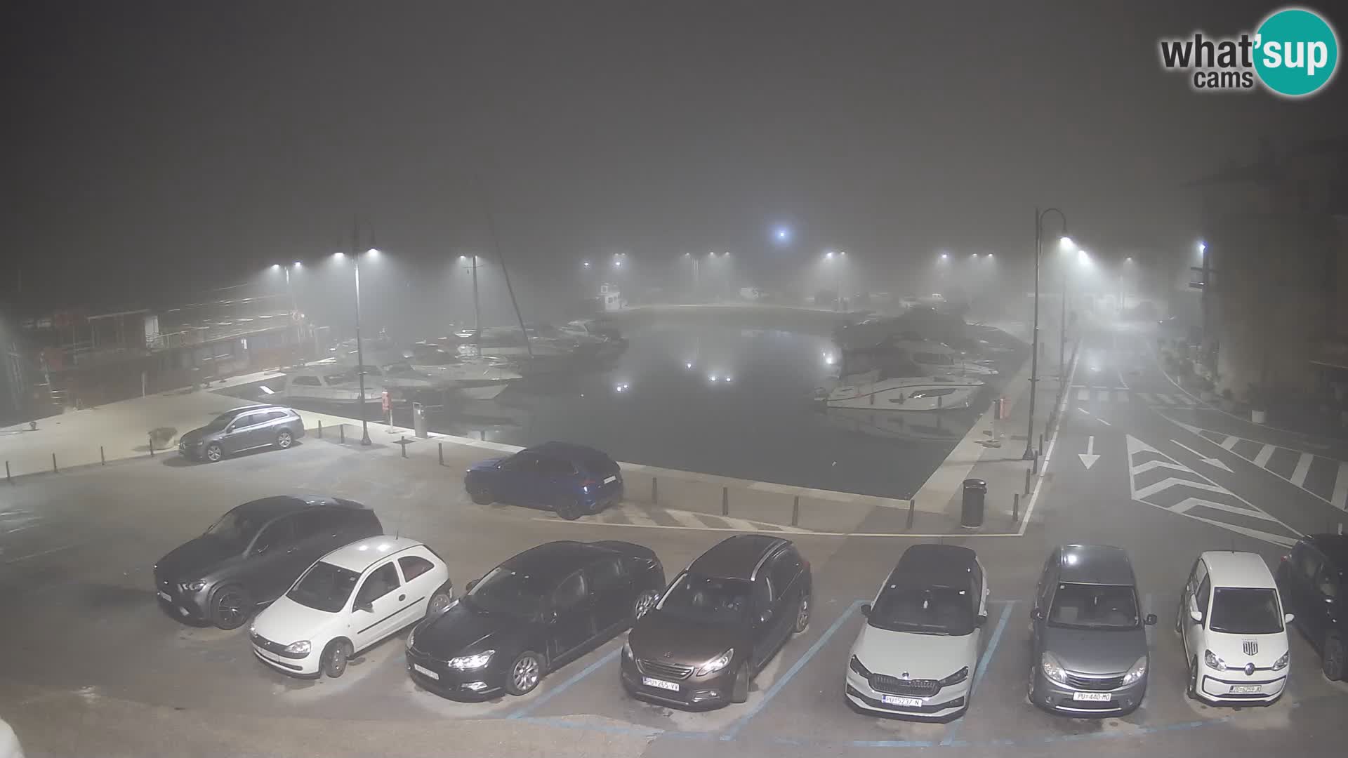 Novigrad | Porporela marina