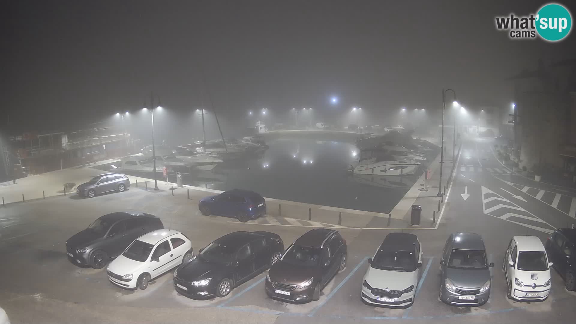 Novigrad | Porporela marina