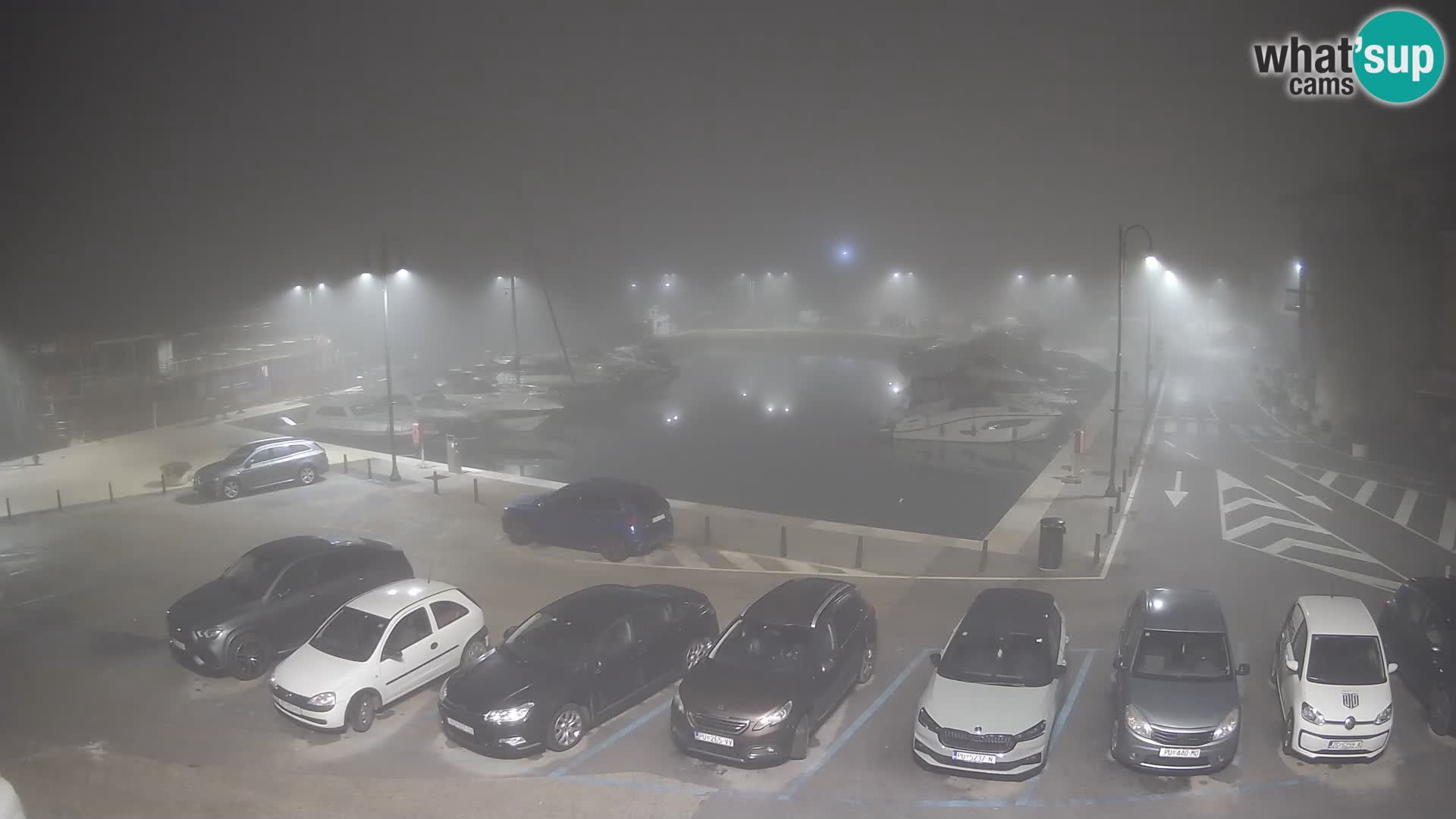 Novigrad | Porporela marina