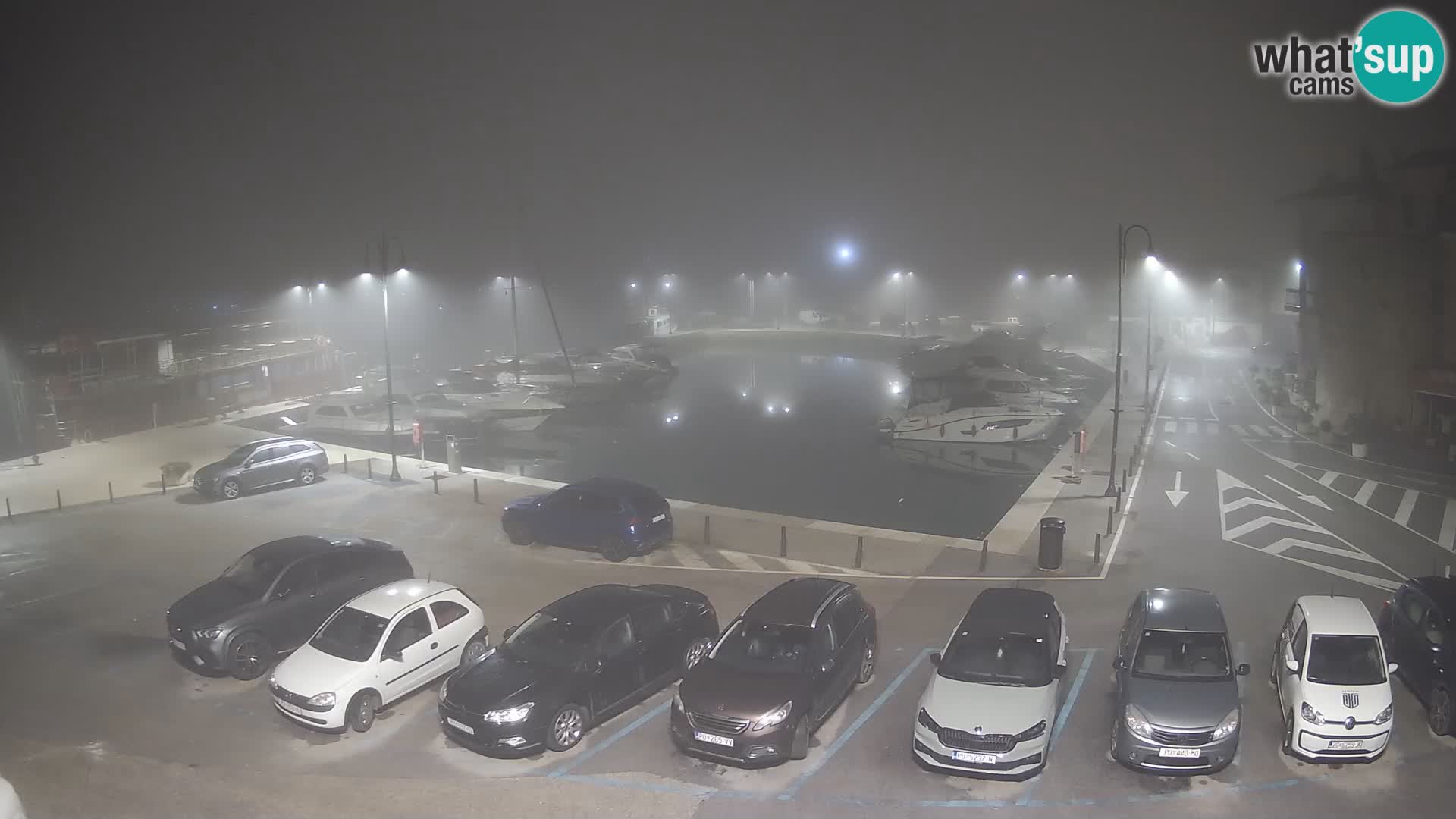 Novigrad | Porporela marina