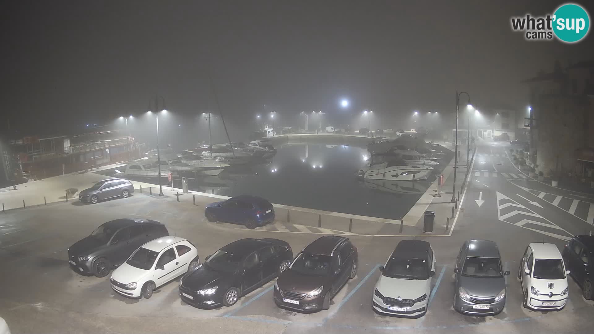 Novigrad | Porporela marina