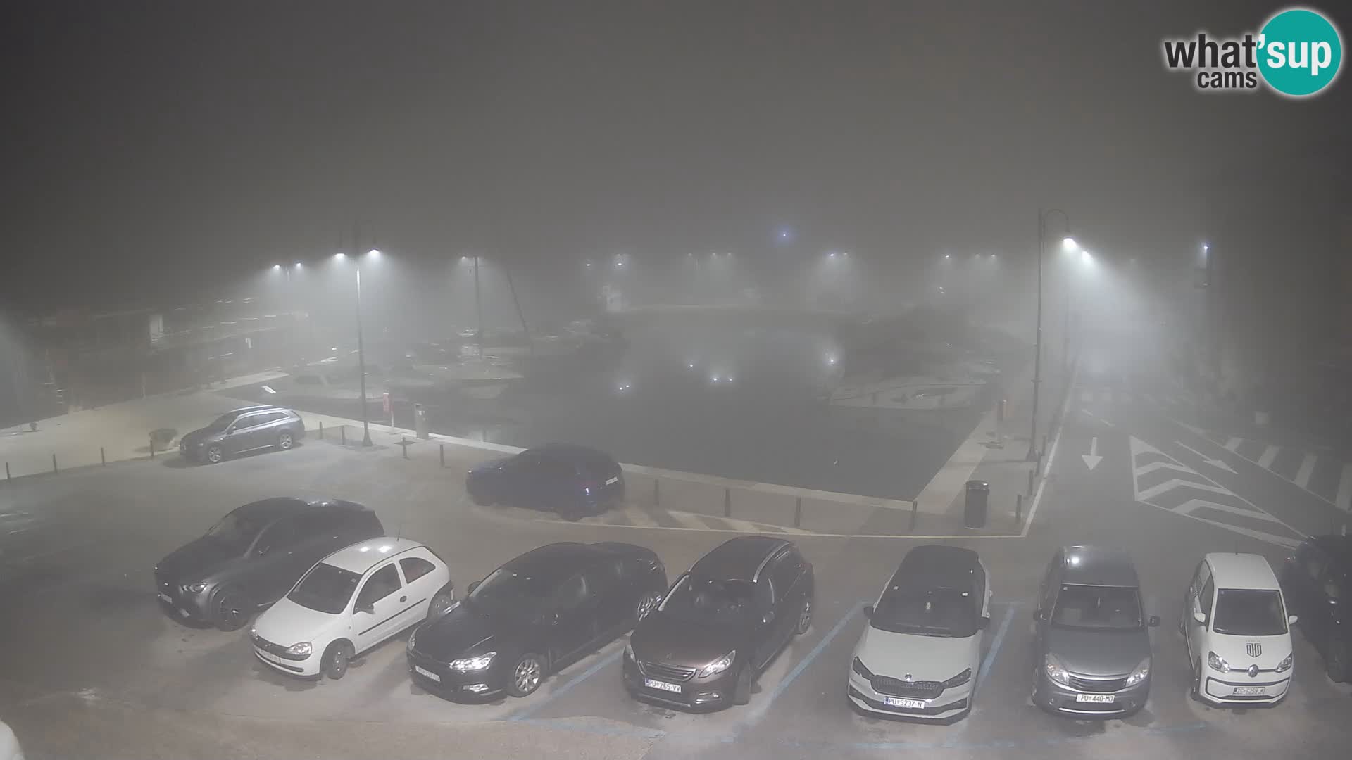 Novigrad | Porporela marina