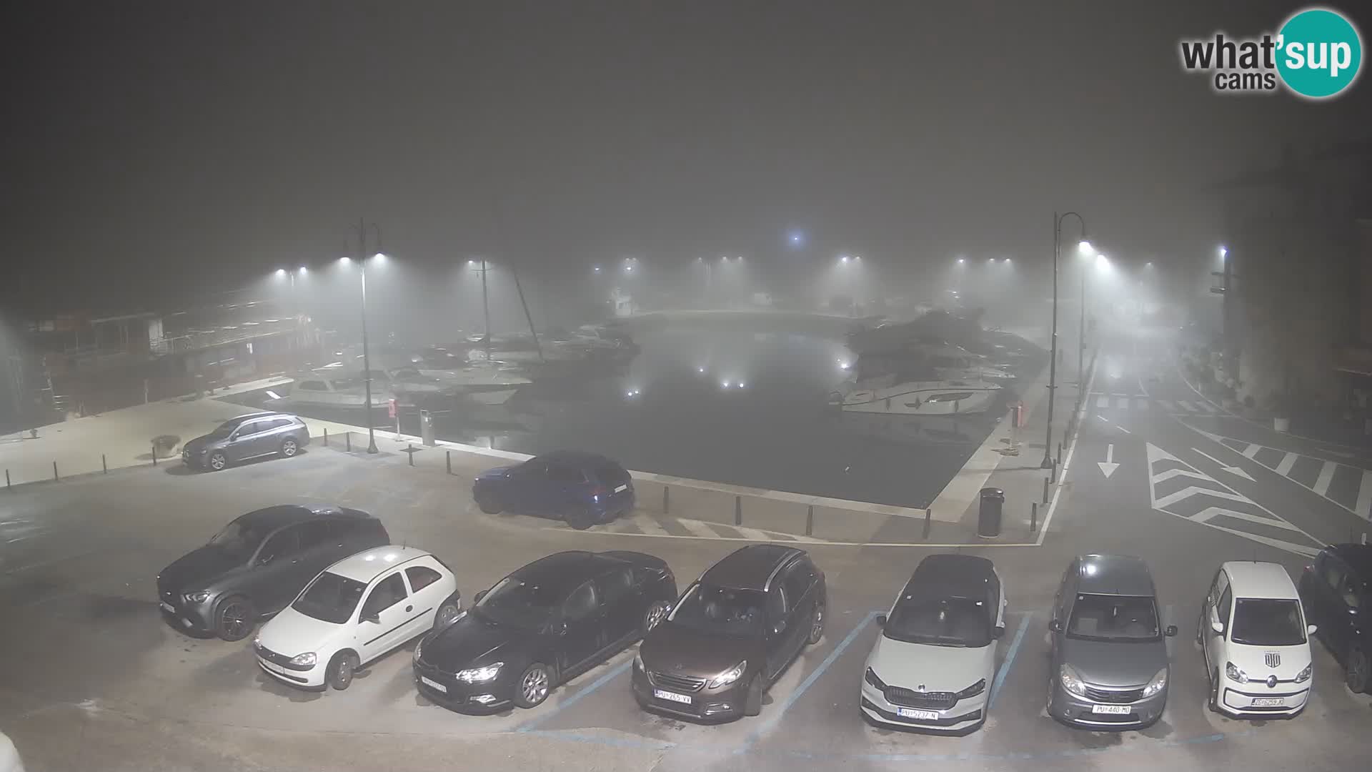 Novigrad | Porporela marina