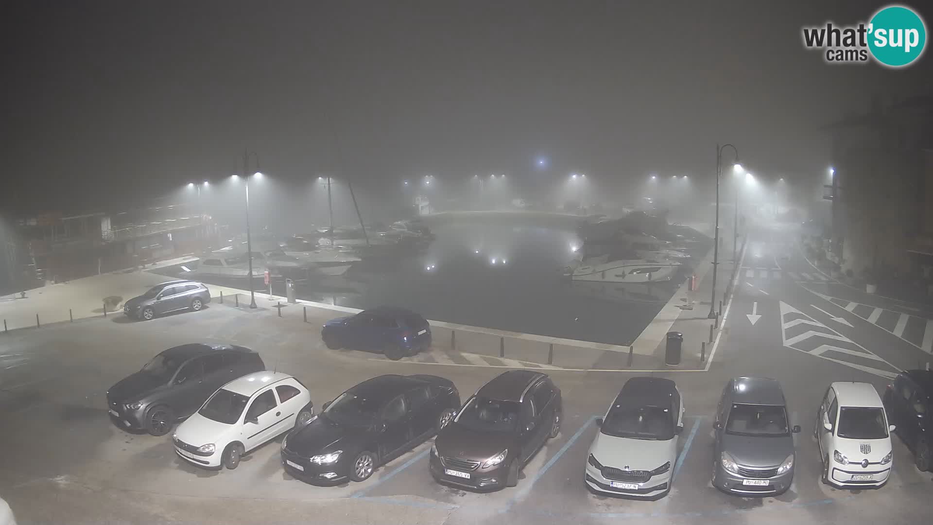 Novigrad | Porporela marina