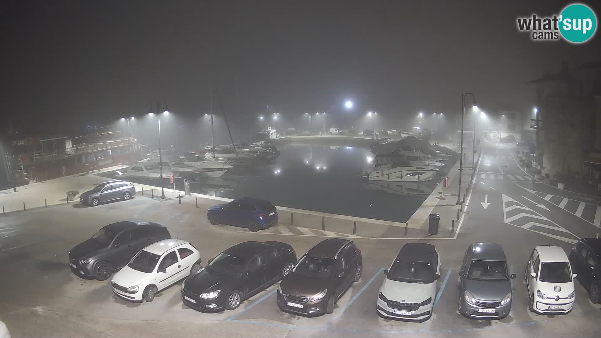 Novigrad | Porporela marina