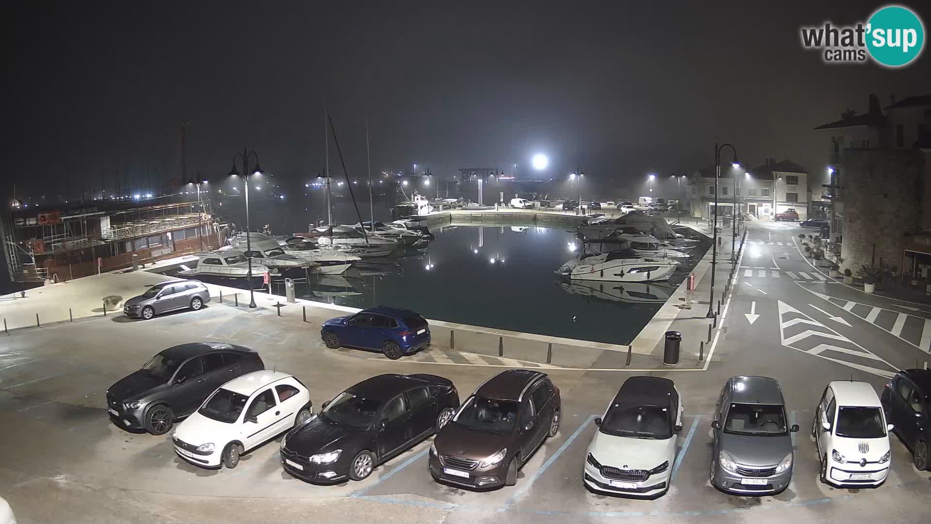 Novigrad | Porporela marina