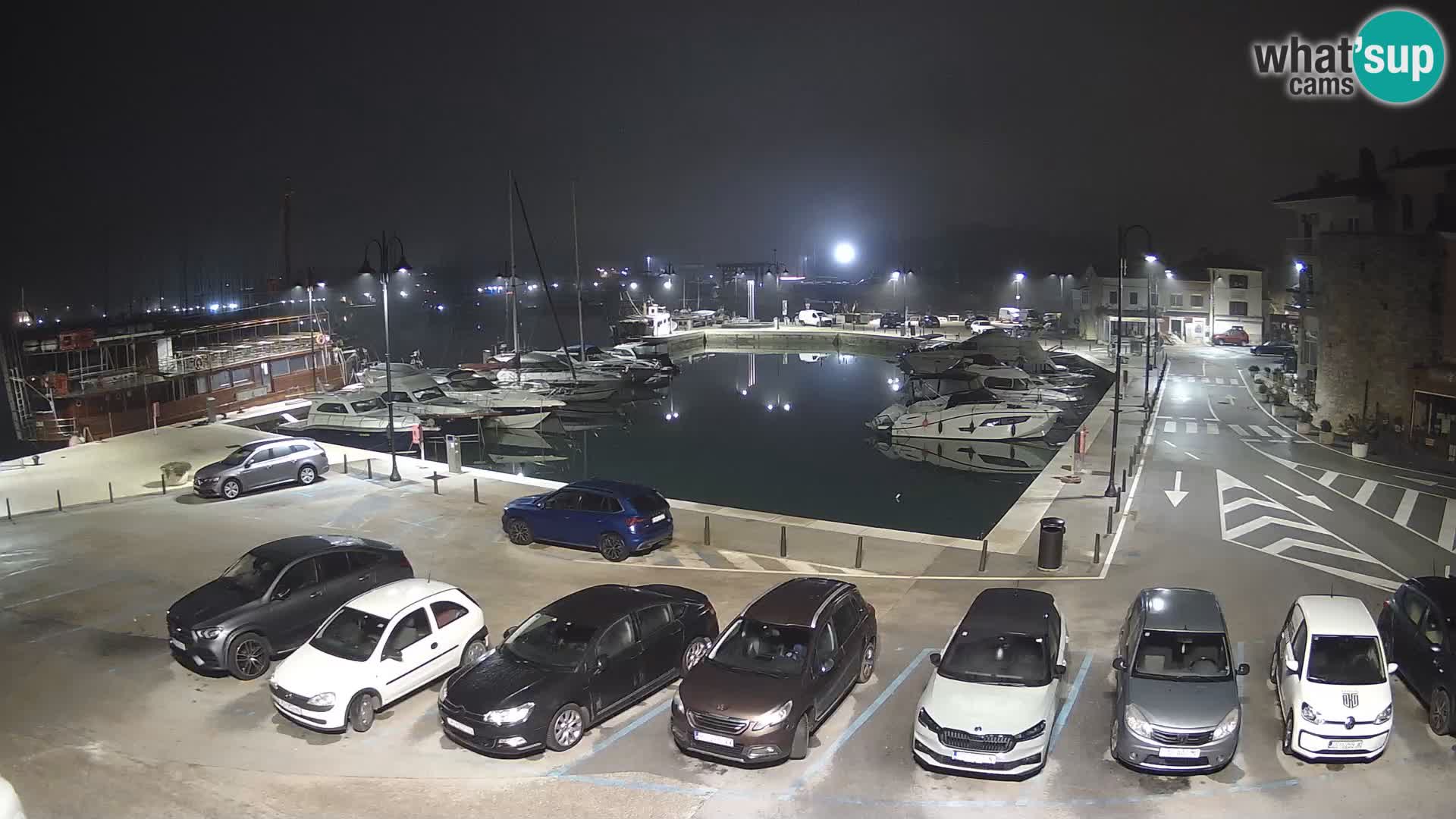 Novigrad | Porporela marina