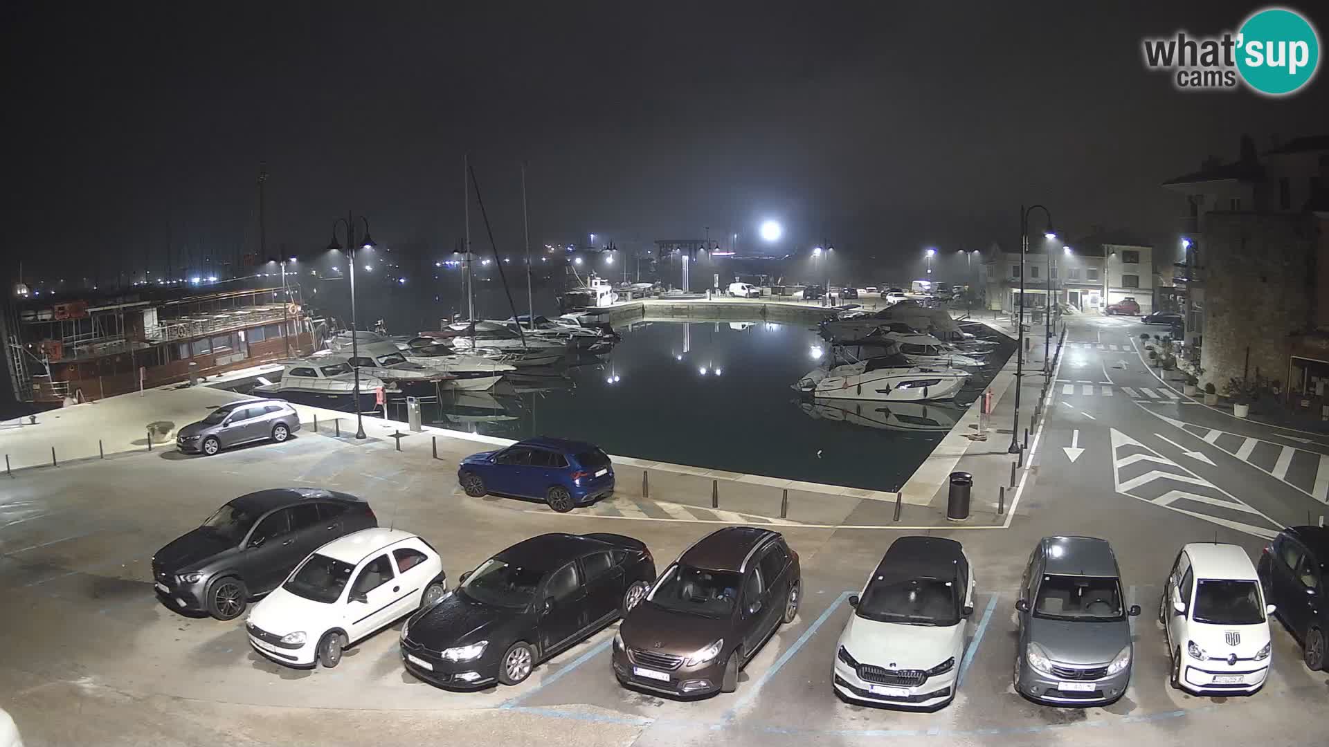 Novigrad | Porporela marina