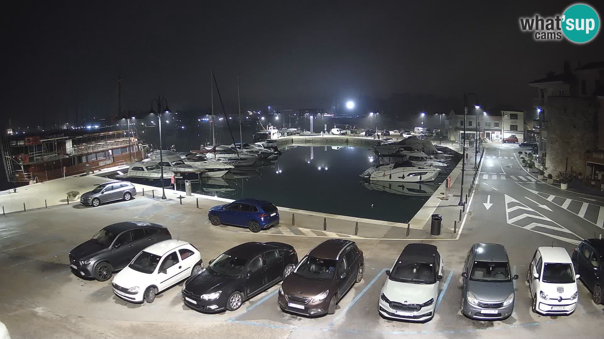 Novigrad | Porporela marina