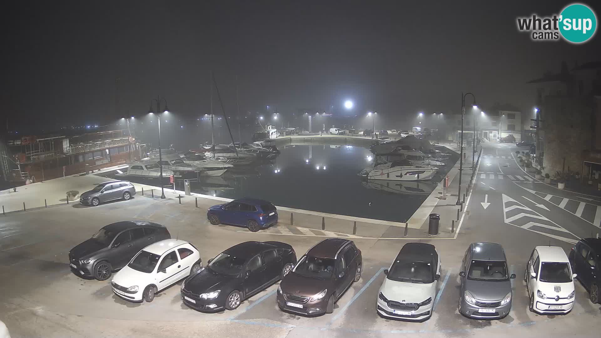 Novigrad | Porporela marina