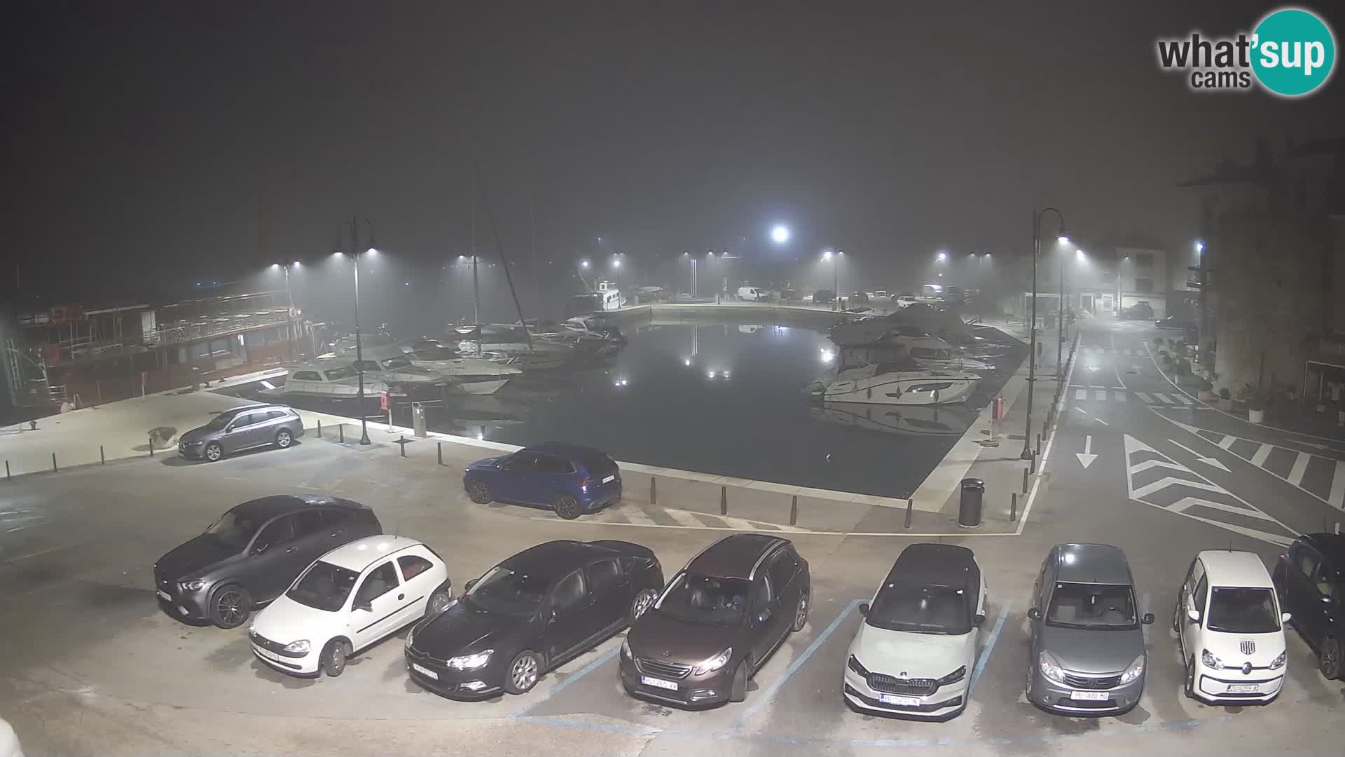 Novigrad | Porporela marina