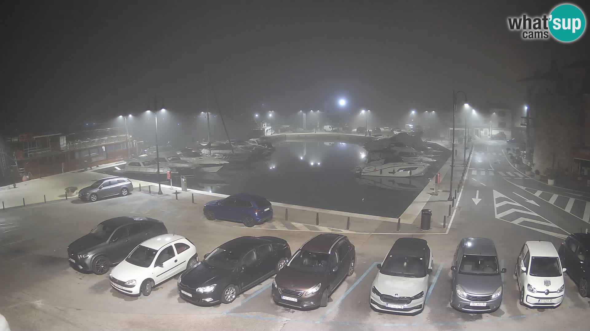 Novigrad | Porporela marina