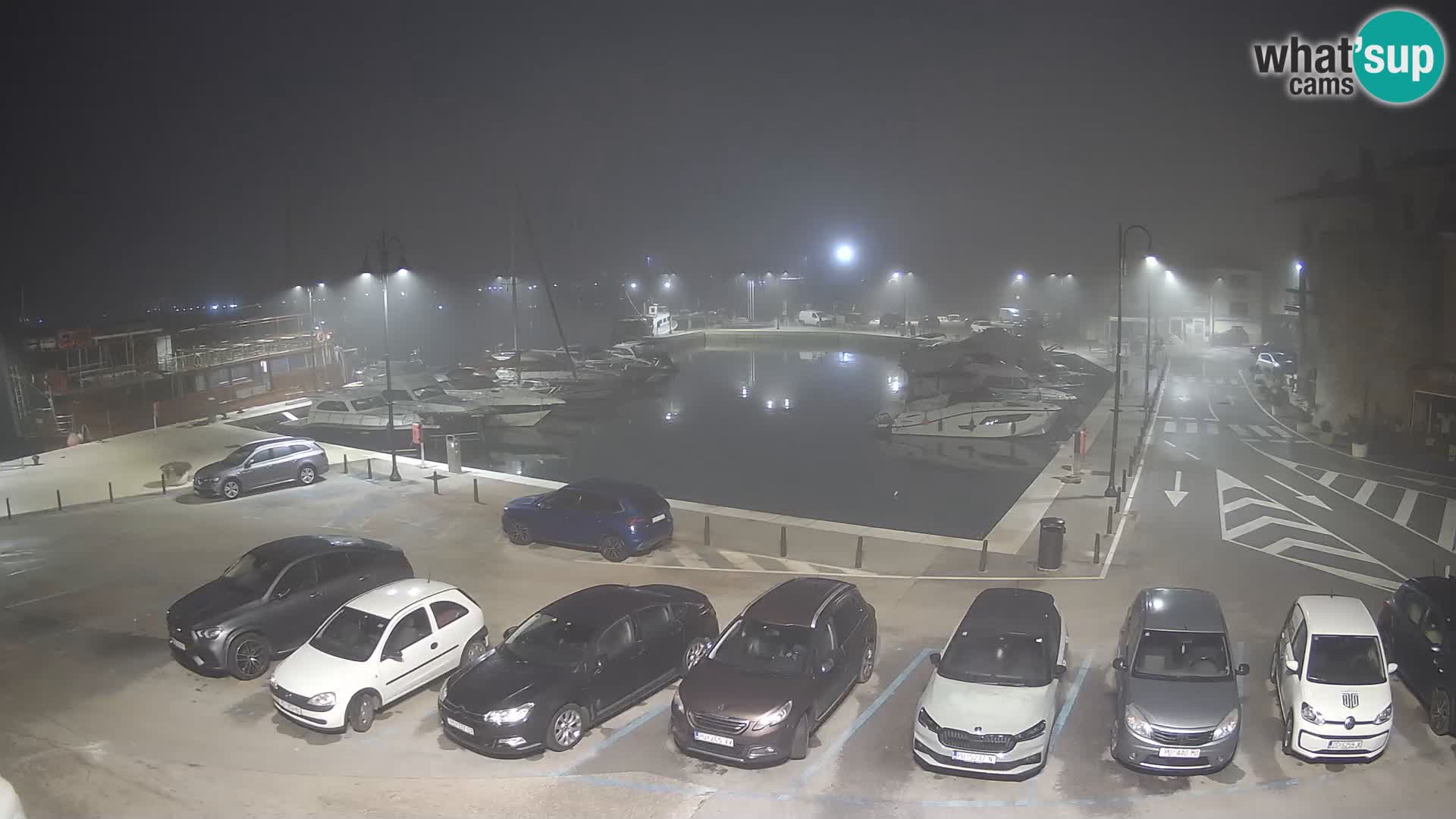 Novigrad | Porporela marina