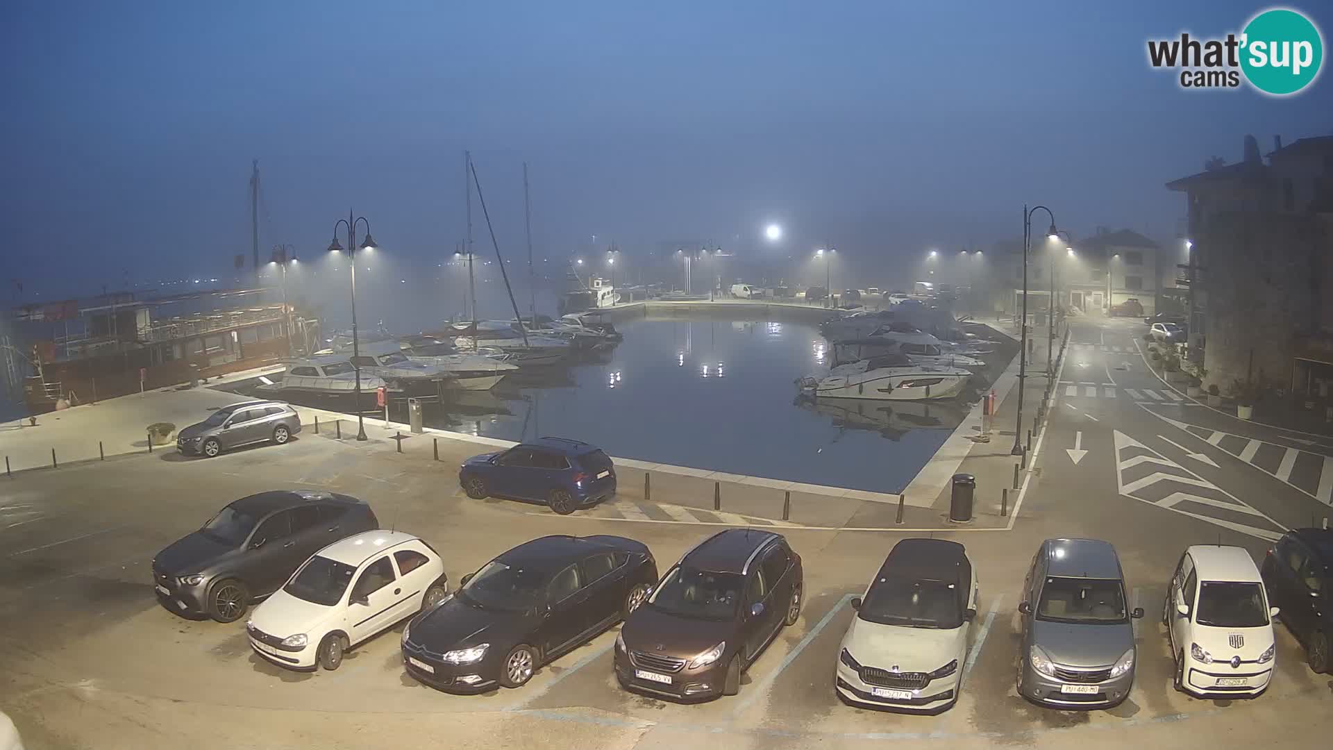 Novigrad | Porporela marina