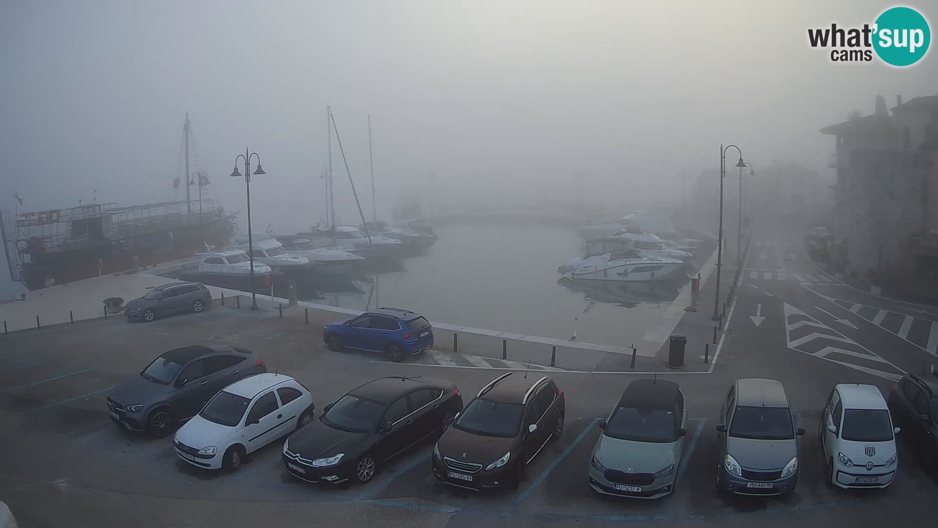 Novigrad | Porporela marina