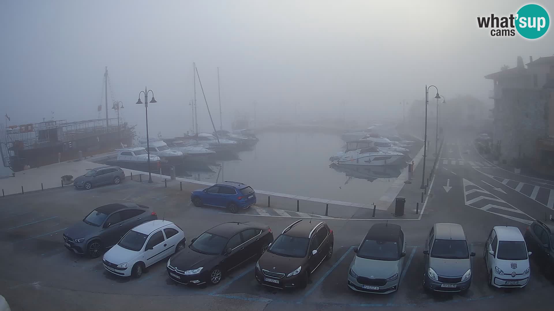 Novigrad | Porporela marina