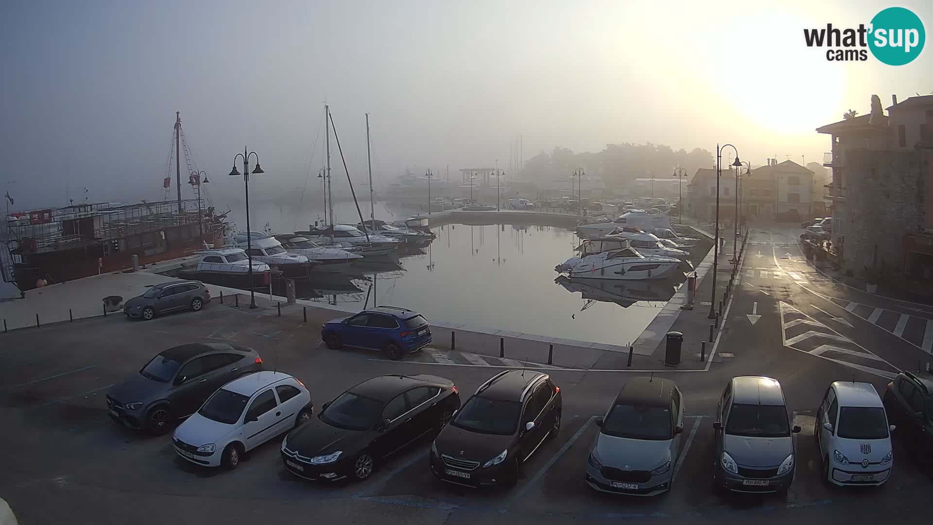 Novigrad | Porporela marina