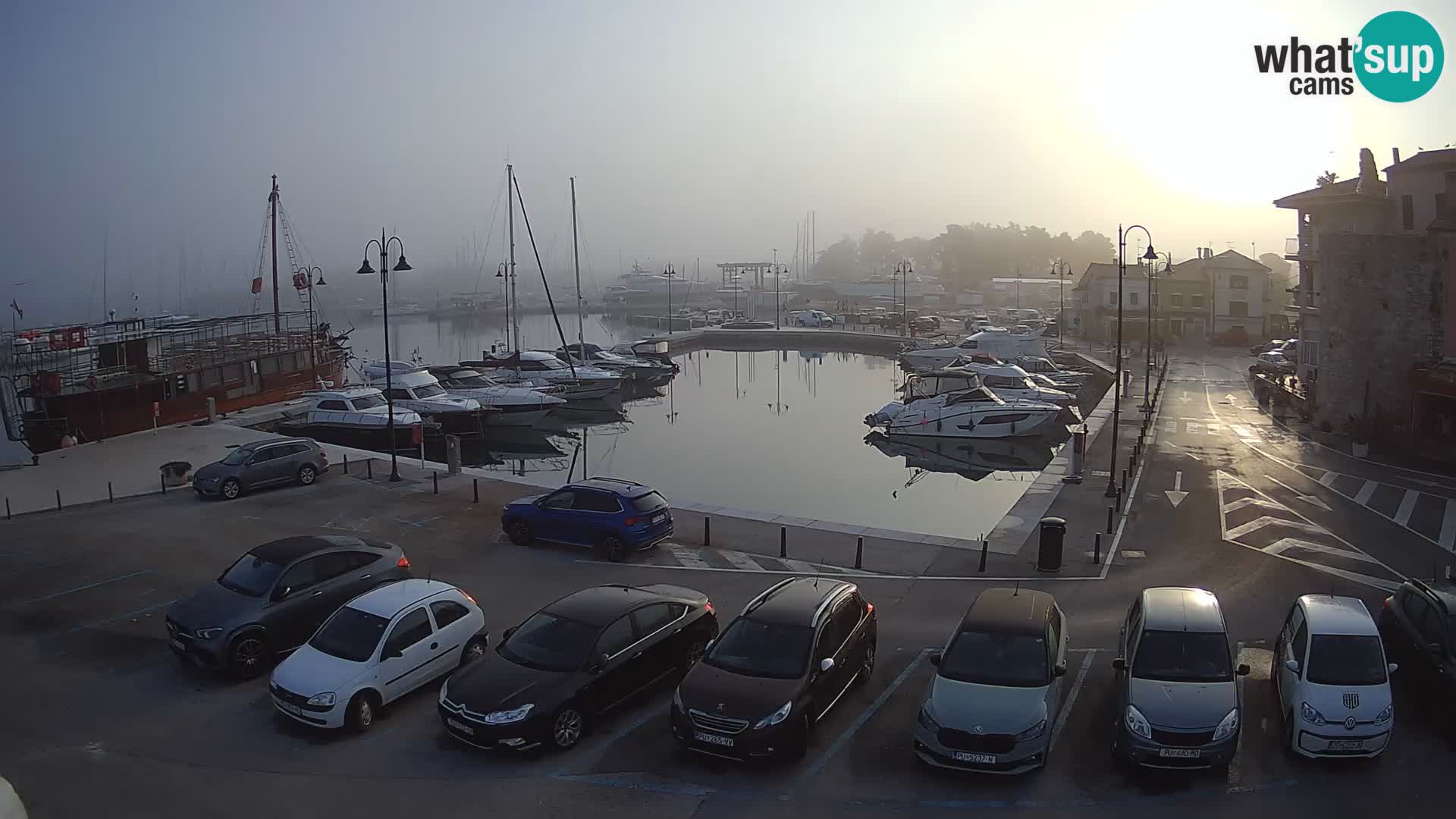 Novigrad | Porporela marina
