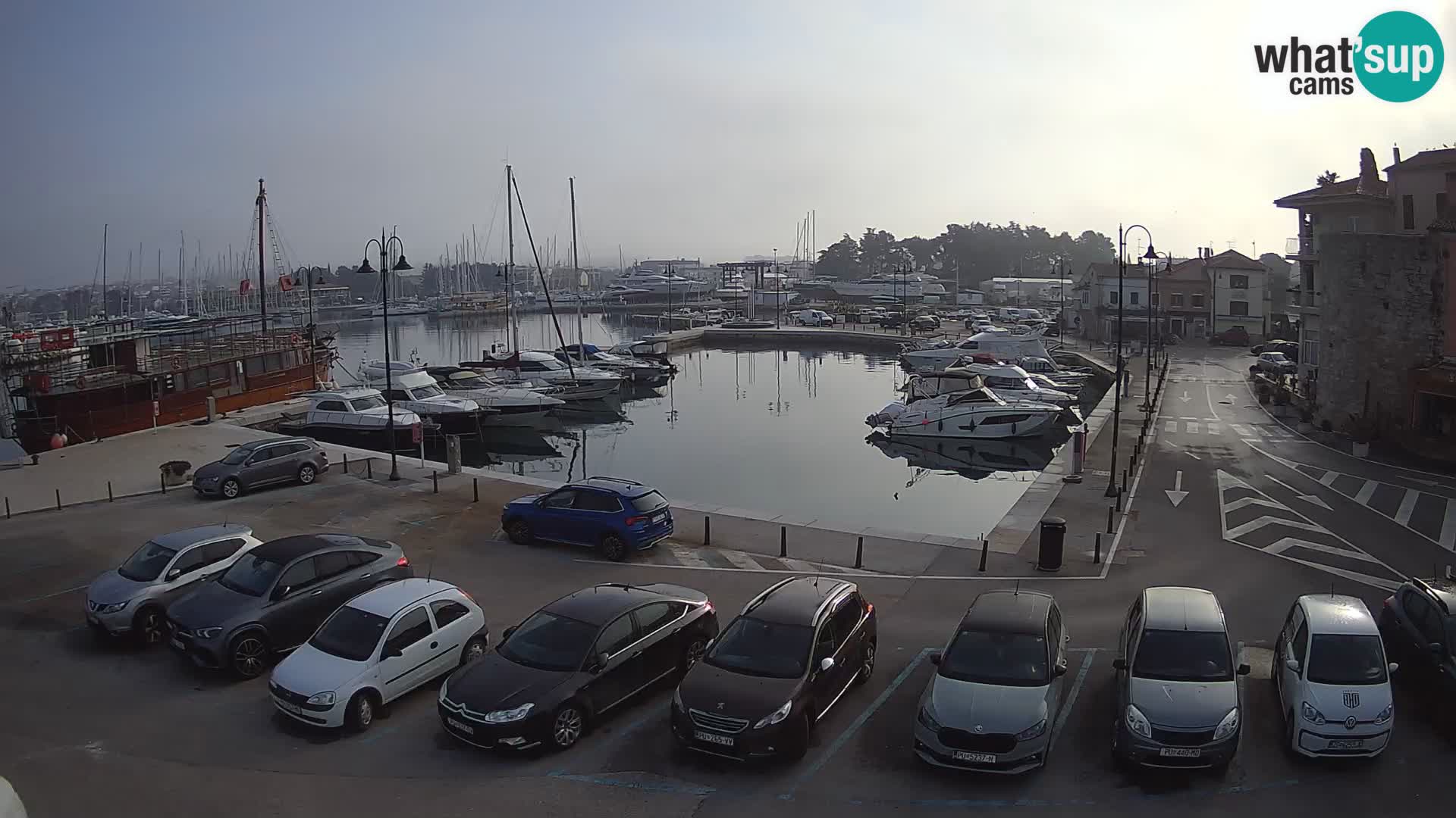 Novigrad | Porporela marina