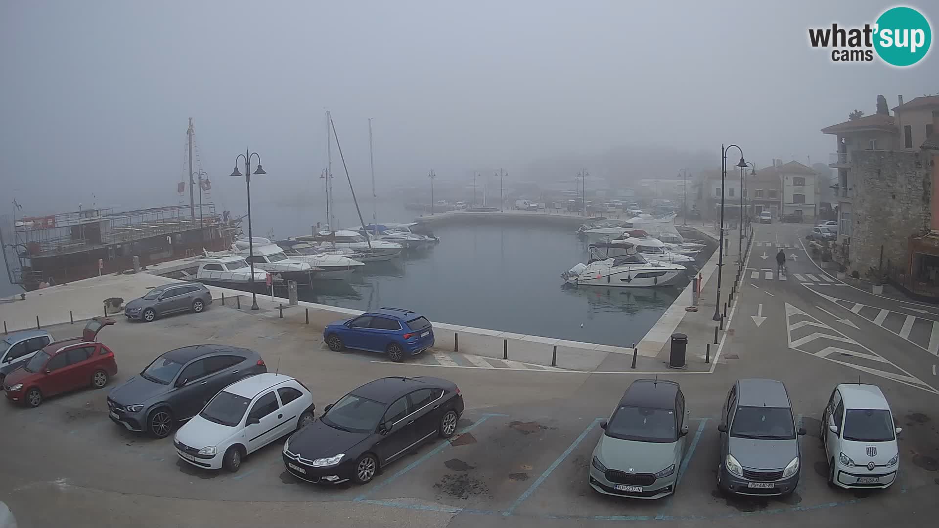 Novigrad | Porporela marina