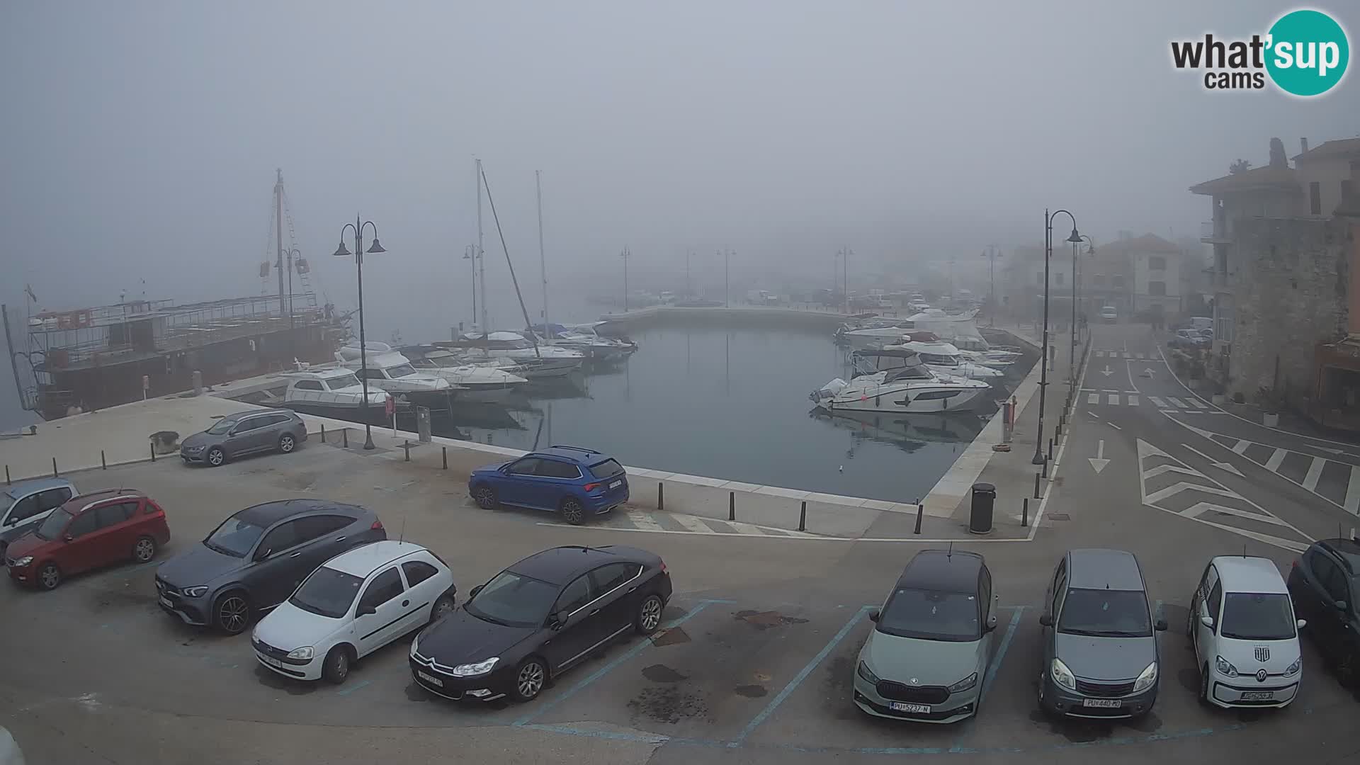 Novigrad | Porporela marina